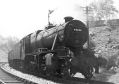 marple_029.jpg