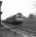 marple_033.jpg