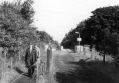 Filename=middlewood-hl-12-9-78.jpg
Filesize=61KiB
Dimensions=500x347
Date added=Feb 12, 2017 middlewood-hl-12-9-78.jpg