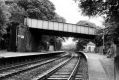 Filename=middlewoodstnfromwest12-9-78.jpg
Filesize=71KiB
Dimensions=500x335
Date added=Jan 15, 2017 middlewoodstnfromwest12-9-78.jpg