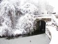 Filename=P1050156.jpg
Filesize=164KiB
Dimensions=500x375
Date added=Jan 11, 2010 P1050156.jpg