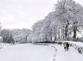 Filename=SnowA5110_57b.jpg
Filesize=90KiB
Dimensions=500x370
Date added=Jan 09, 2010 SnowA5110_57b.jpg