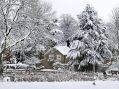 Filename=SnowB5110_06a.jpg
Filesize=150KiB
Dimensions=500x374
Date added=Jan 09, 2010 SnowB5110_06a.jpg