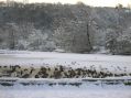 Filename=SnowatEtherow004.jpg
Filesize=101KiB
Dimensions=500x374
Date added=Jan 09, 2010 SnowatEtherow004.jpg