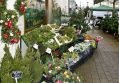 Filename=Xmas101211_060.JPG
Filesize=137KiB
Dimensions=500x348
Date added=Dec 16, 2011 Xmas101211_060.JPG