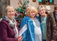 Filename=StMartinsXmasTrees008.JPG
Filesize=113KiB
Dimensions=500x359
Date added=Dec 06, 2015 StMartinsXmasTrees008.JPG
