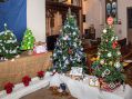Filename=christmas-tree-vote_0008.JPG
Filesize=144KiB
Dimensions=500x372
Date added=Dec 06, 2015 christmas-tree-vote_0008.JPG