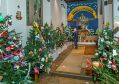 Filename=christmas-tree-vote_0020.JPG
Filesize=156KiB
Dimensions=500x350
Date added=Dec 06, 2015 christmas-tree-vote_0020.JPG