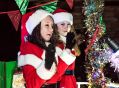 Filename=FXmas21216_35.JPG
Filesize=145KiB
Dimensions=500x368
Date added=Dec 06, 2016 FXmas21216_35.JPG