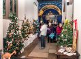 Filename=XmasTree31216_1.JPG
Filesize=165KiB
Dimensions=500x366
Date added=Dec 06, 2016 XmasTree31216_1.JPG