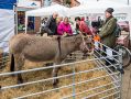 Filename=cracker31216_14.JPG
Filesize=167KiB
Dimensions=500x375
Date added=Dec 06, 2016 cracker31216_14.JPG