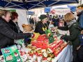 Filename=cracker31216_30.JPG
Filesize=177KiB
Dimensions=500x369
Date added=Dec 06, 2016 cracker31216_30.JPG