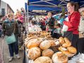 Filename=cracker31216_47.JPG
Filesize=175KiB
Dimensions=500x371
Date added=Dec 06, 2016 cracker31216_47.JPG