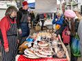Filename=cracker31216_75.JPG
Filesize=173KiB
Dimensions=500x372
Date added=Dec 06, 2016 cracker31216_75.JPG
