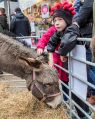 Filename=cracker31216_83.JPG
Filesize=157KiB
Dimensions=399x500
Date added=Dec 06, 2016 cracker31216_83.JPG
