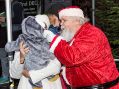Filename=winterwonderland21217_119.JPG
Filesize=131KiB
Dimensions=500x373
Date added=Dec 07, 2017 winterwonderland21217_119.JPG