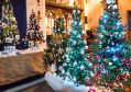xmastree11218_07.jpg