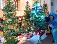 xmastree11218_10.jpg