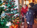 xmastree11218_11.jpg