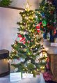Filename=xmastree11218_16.jpg
Filesize=98KiB
Dimensions=344x500
Date added=Dec 04, 2018 xmastree11218_16.jpg