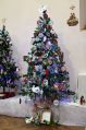 img_1887y.jpg