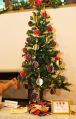 img_1891y.jpg
