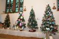 img_1909y.jpg