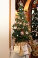 img_1916y.jpg