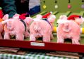 Filename=winterwonderland71219_040.jpg
Filesize=80KiB
Dimensions=500x350
Date added=Dec 10, 2019 winterwonderland71219_040.jpg