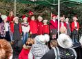 Filename=winterwonderland71219_106.jpg
Filesize=112KiB
Dimensions=500x356
Date added=Dec 10, 2019 winterwonderland71219_106.jpg