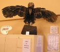 Eagle-Owl.JPG