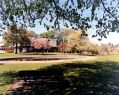 Filename=boating-pond-in-memorial-park.jpg
Filesize=76KiB
Dimensions=500x396
Date added=Jul 10, 2020 boating-pond-in-memorial-park.jpg