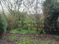breenclough-20141226.jpg