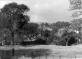 Filename=compstall1950s-dmclean.jpg
Filesize=69KiB
Dimensions=500x358
Date added=Aug 06, 2015 compstall1950s-dmclean.jpg