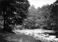 marple-dale2.jpg
