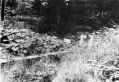 Filename=rallyofboats19670.jpg
Filesize=83KiB
Dimensions=500x342
Date added=Jun 24, 2017 rallyofboats19670.jpg