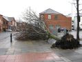 Filename=tree2-14-2-14.jpg
Filesize=68KiB
Dimensions=500x375
Date added=Feb 19, 2014 tree2-14-2-14.jpg