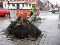 Filename=tree4-14-2-14.jpg
Filesize=82KiB
Dimensions=500x375
Date added=Feb 19, 2014 tree4-14-2-14.jpg